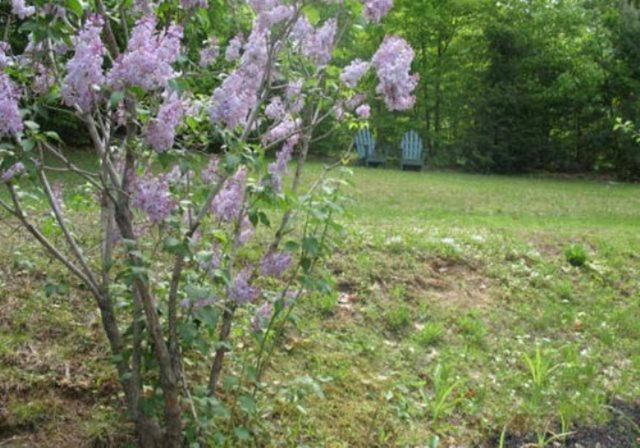Tumble Inn Schroon Lake Εξωτερικό φωτογραφία
